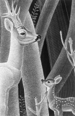 Bambi Illustration by Alena Sottler