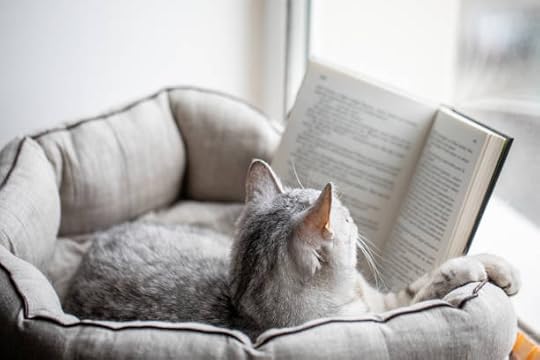 6,955 Cat Reading Stock Photos, Pictures & Royalty-Free Images - iStock