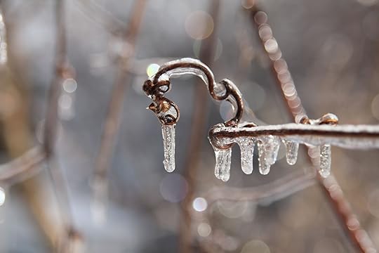 ‘How Do I Dream Bigger for My Writing?’