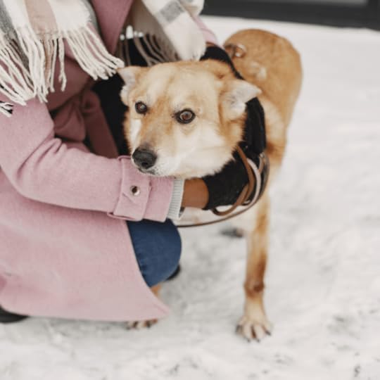 There is nothing more wonderful on a cold winter day than sinking into a hot tub with a cup of hot tea. To combat the dry skin that hot water leaves behind, try these moisturizing bath melts. They will leave your skin soft and hydrated.