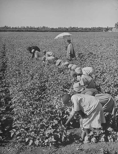 130269262-3496309050424037-5330773062849478392-n