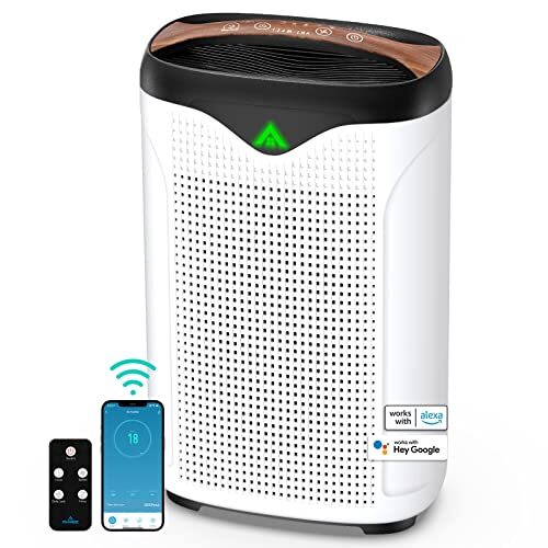 Smart Air Purifier for Home Large Room with H13 True HEPA Filter, WiFi Alexa Control & Air Quality Monitor, Up to 1076 sq ft for Pets Odor, Smoke, Dust, Pollen, Quiet and Effective (Model-FA500)