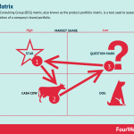 bcg-matrix-examples