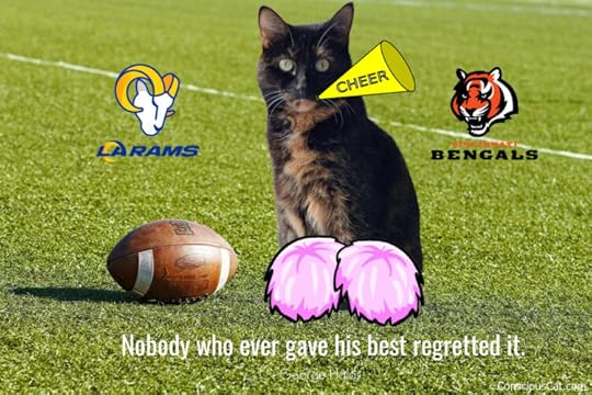 super-bowl-cat
