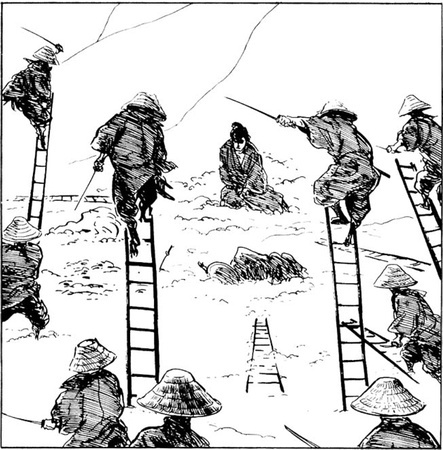 ladders
