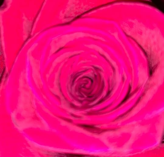 overexposed closeup of a rose