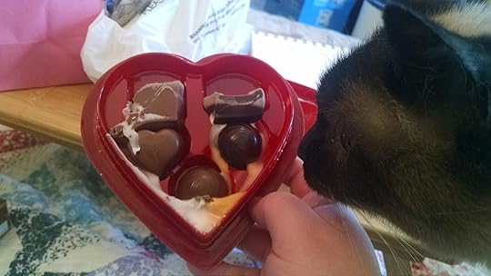 May be an image of food