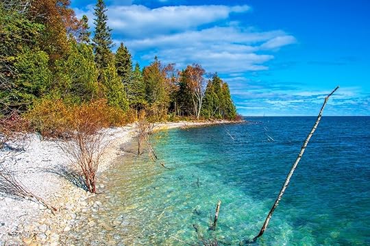 Photo of forest on the coast of Door County Wisconsin 