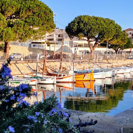 Port capucins la ciotat south of france wooden boats pointus