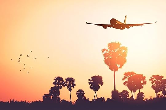 plane flying sunset with birds in background