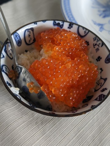 Pxl_20220218_155503717portrait