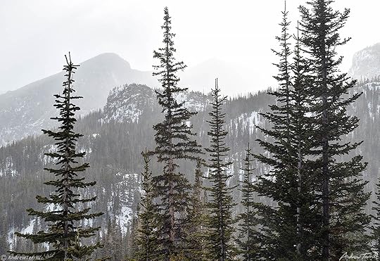 glacier knobs in rocky mountain national park
