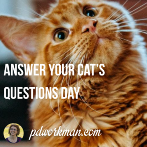 Answer Your Cat's Questions Day