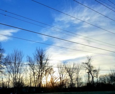 Morning Sunshine