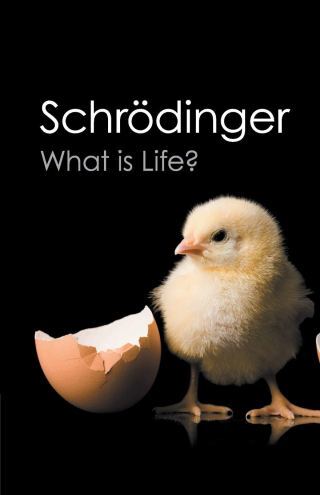 The Atom and the Doctrine of Identity: Quantum Pioneer Erwin Schrödinger on Bridging Eastern Philosophy and Western Science to Illuminate Consciousness