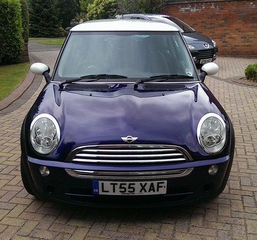photo of Audrey's Mini