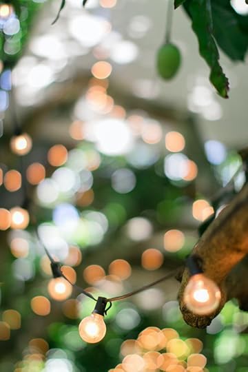 garden lights strung in trees