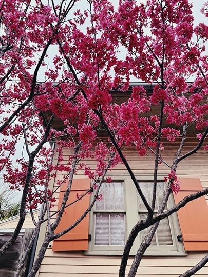 Let It Be Sunday, 361!