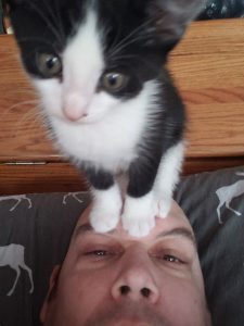 Gizmo Helping
