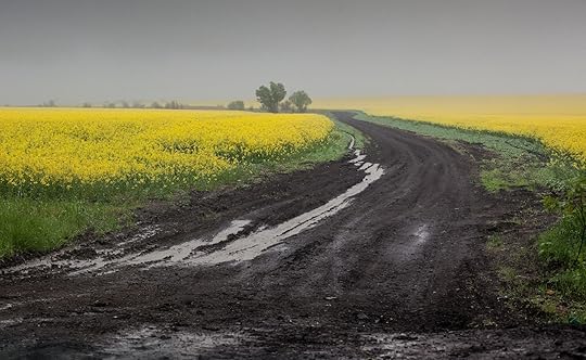 An unpaved road to Lysychansk, Lugansk, March 2015. (Rosa Luxemburg-Stiftung, Flickr, CC BY 2.0)