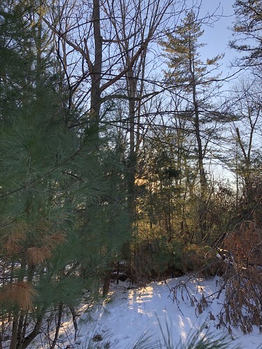 late-day light