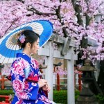 kimono girl spring japan