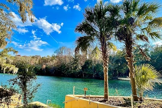 Salt Springs a natural spring in Florida