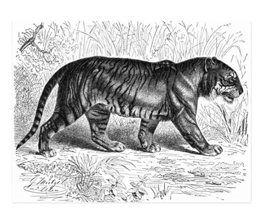 346 For Whom the Beast Leaps