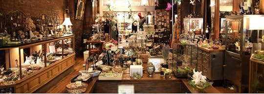 Here&#39;s a Weird Shop That You Should Most Definitely Spend Hours In - ciaooo!
