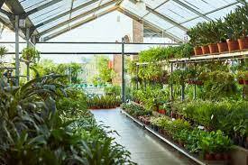 95,041 Plant Nursery Stock Photos, Pictures & Royalty-Free Images - iStock