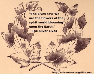 Zardoaquote15