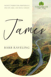 Overcoming Temptation is an excerpt from a James Bible study by Barb Raveling. This Bible study contains 20 lessons and is suitable for individuals, one-on-ones, or small groups. 