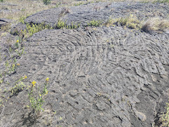 Puu Loa Petroglyphs