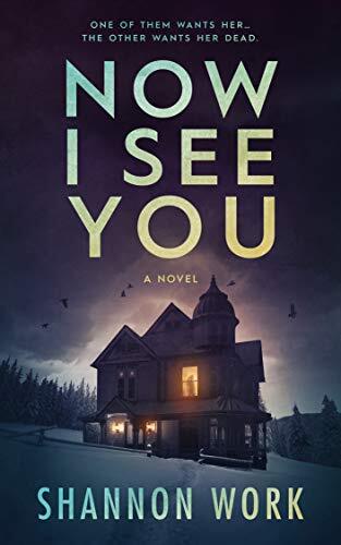 Now I See You (Mountain Resort Mystery series Book 1) by [Shannon Work]