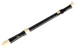 plastic recorder