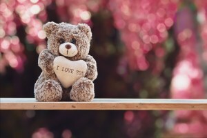 teddy bear