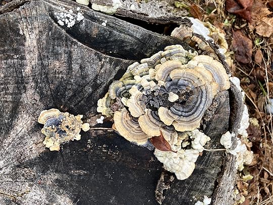 ‘How Do I Let a Draft be a Draft?’