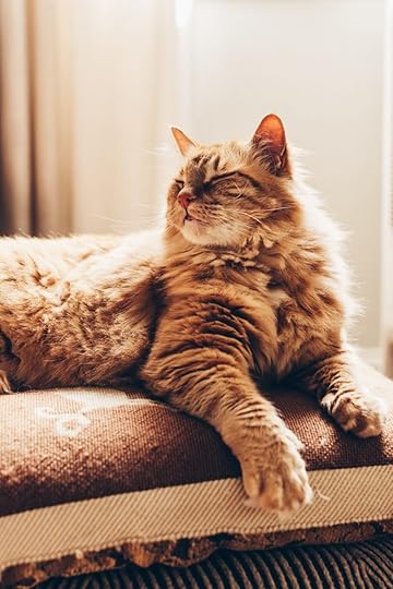 Let It Be Sunday, 364! 