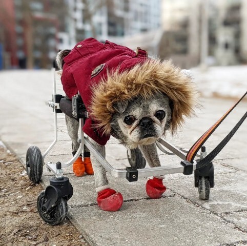 Screen-shot-2022-03-20-at-115816-am