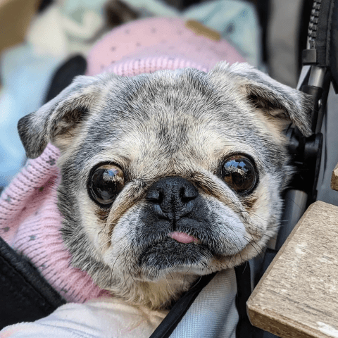 Screen-shot-2022-03-20-at-115755-am