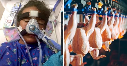 Campylobacter is America’s biggest cause of foodborne illness, just ahead of salmonella. Both are potentially fatal.