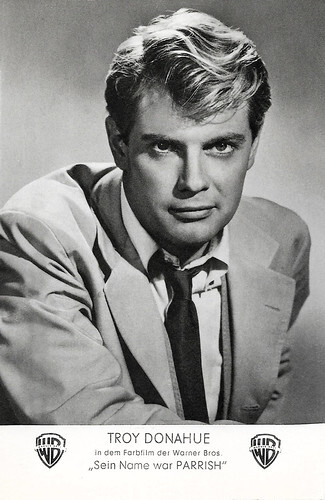 Troy Donahue in Parrish (1961)