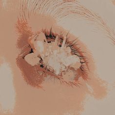 This contains an image of: 