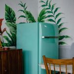 blue refrigerator beside green-leafed plant