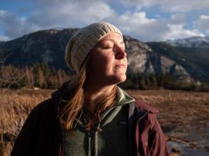 The Year of Less by Cait Flanders could be a Game Changer ... 2