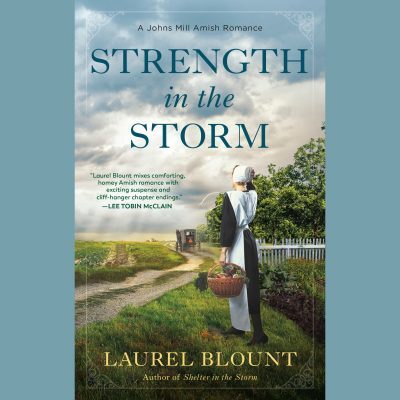 Strength in the Storm audiobook