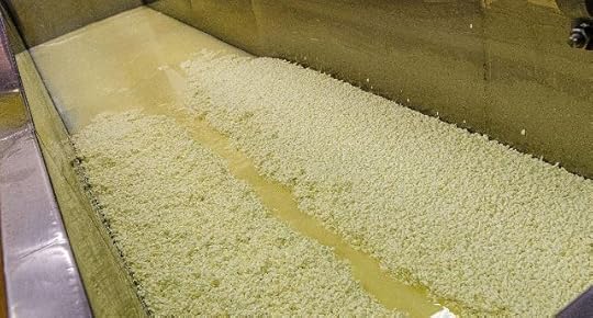 Balderson cheese vat of curd and whey