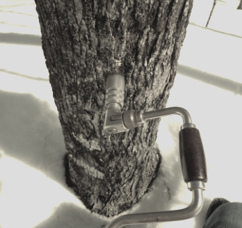 carpenter's auger