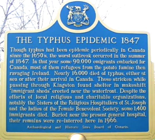 typhus