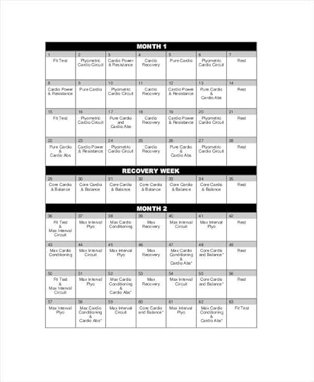 free 6 sample insanity workout sheet templates in ms word